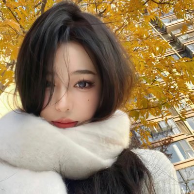 少年四大名捕粤语